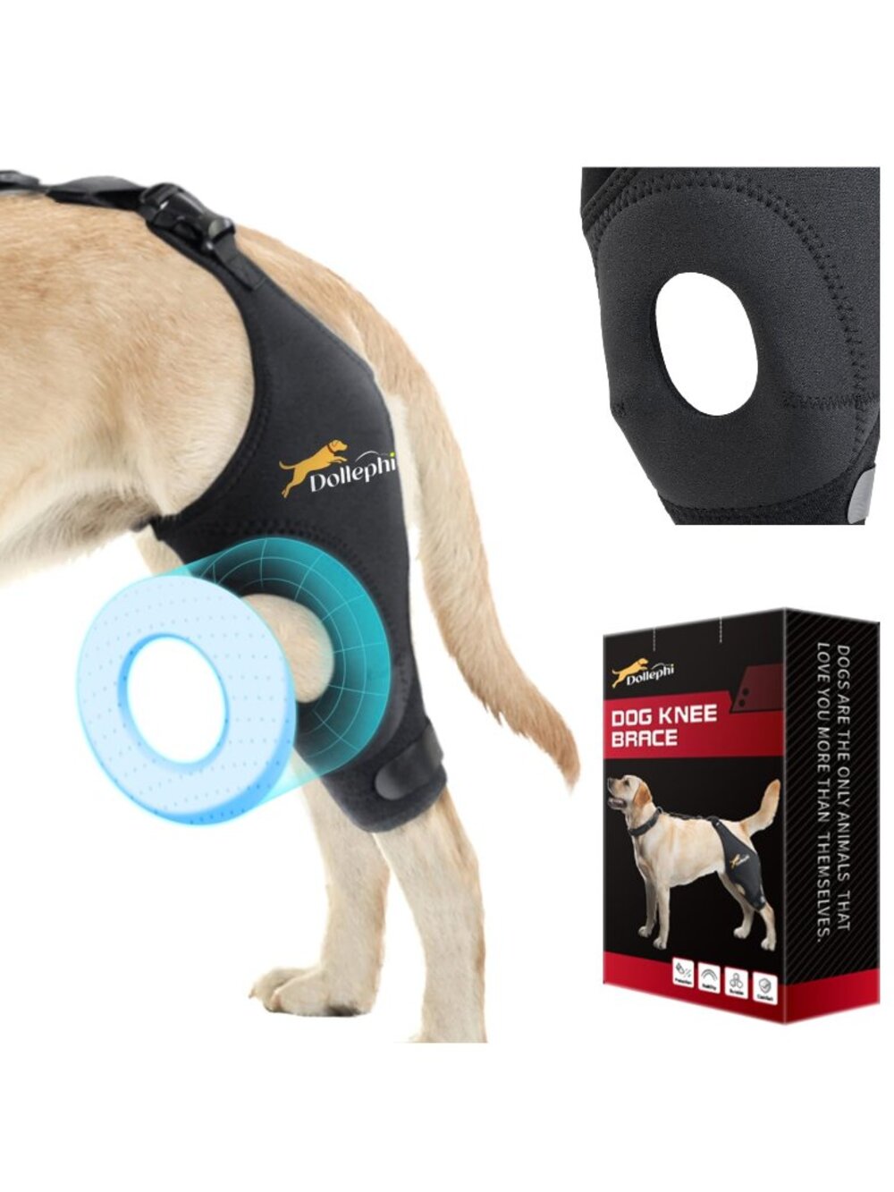Dog Knee Brace for Torn ACL Hind Leg, Support for Patella Dislocation Left Large